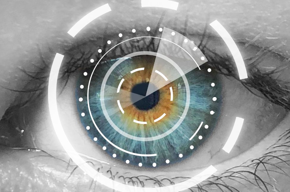 Sito web – Immagini articolo 2